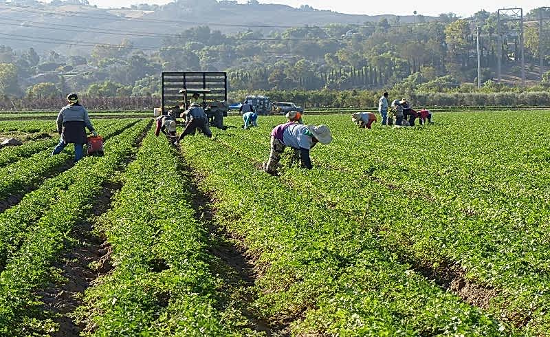 Yıllık İzin Ücreti Avans Ödenmezse Kıdem Tazminatı Hakkı Doğar mı?